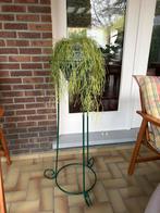 Plantenstaander, Enlèvement, Comme neuf