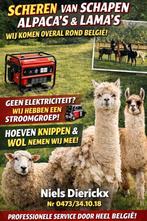 Scheren van schapen, alpaca's en lama's