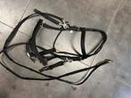 Nylon hoofdstel zwart + teugel, Dieren en Toebehoren, Ophalen, Nieuw