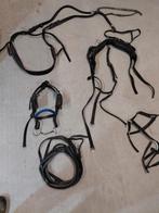 men tuig chetlander, Dieren en Toebehoren, Ophalen