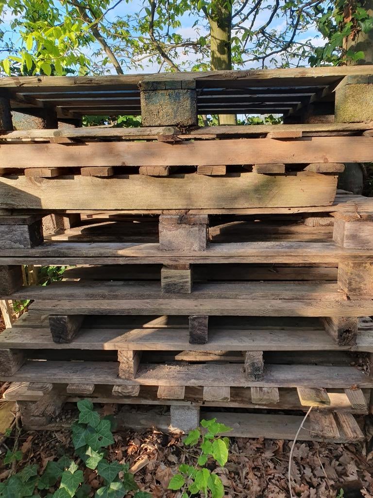 Oude paletten, Doe-het-zelf en Bouw, Hout en Planken, Ophalen