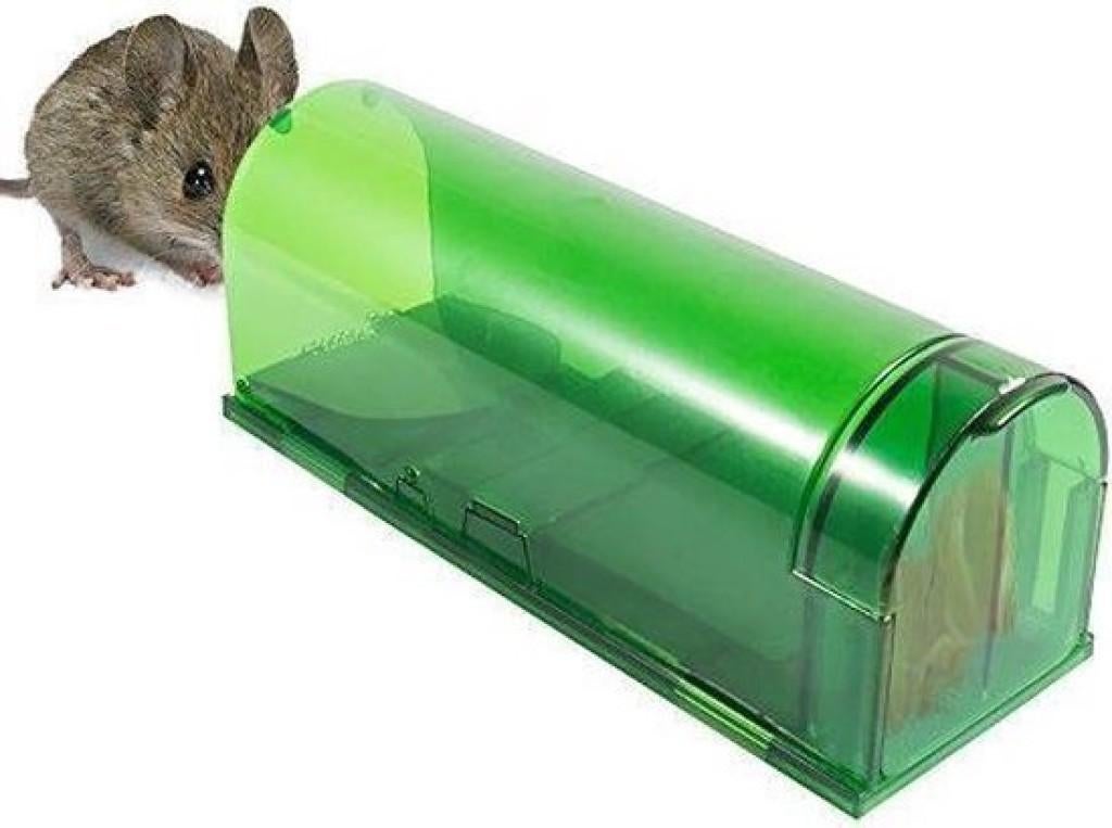 Ongediertebestrijding: Levende muizenval, Enlèvement ou Envoi, Neuf