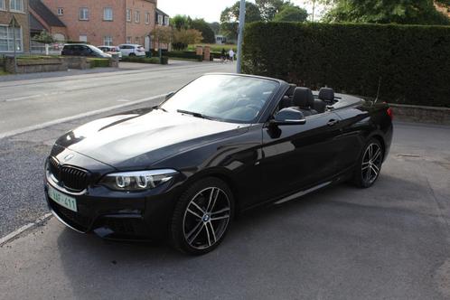 BMW 218 218iA FM Sport, Harman Kardon, GPS, PDC, Autos, BMW, Entreprise, Achat, Série 2, ABS, Caméra de recul, Régulateur de distance