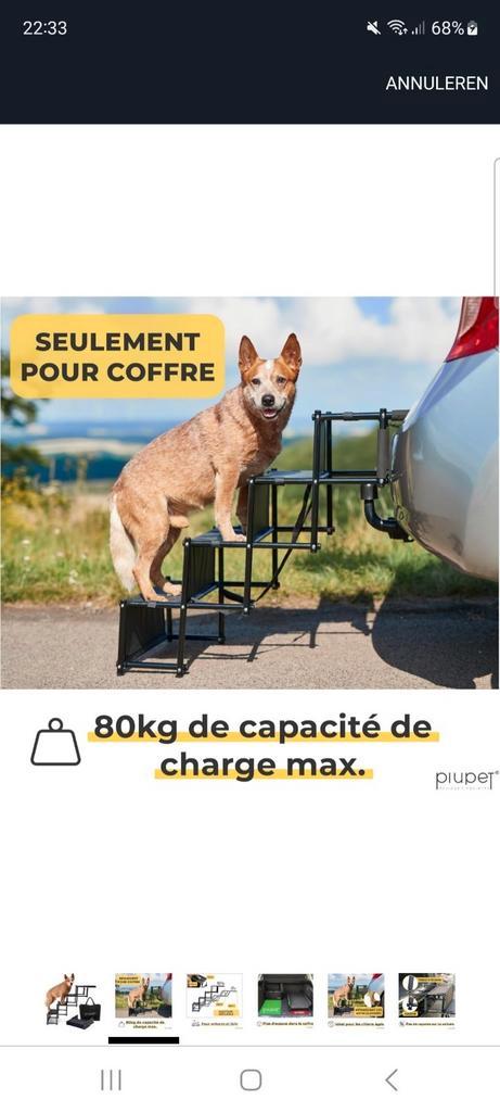 Hondentrap/ladder (Ninove of Dilbeek), Dieren en Toebehoren, Honden-accessoires, Gebruikt, Ophalen