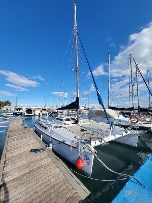 Catamaran Edel-cat 35, Diversen, Overige Diversen, Gebruikt, Ophalen of Verzenden