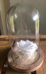 🌹 Rose éternelle blanche 🌹 🎁 Idée Cadeaux 🎁, Enlèvement, Neuf