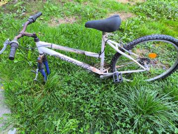 Velo beschikbaar voor biedingen