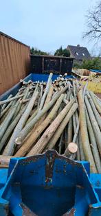 8m³ brandhout, Tuin en Terras, Brandhout, 6 m³ of meer, Ophalen, Overige houtsoorten, Stammen