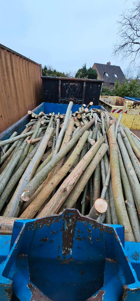 8m³ brandhout, Tuin en Terras, Brandhout, Stammen, Overige houtsoorten, 6 m³ of meer, Ophalen