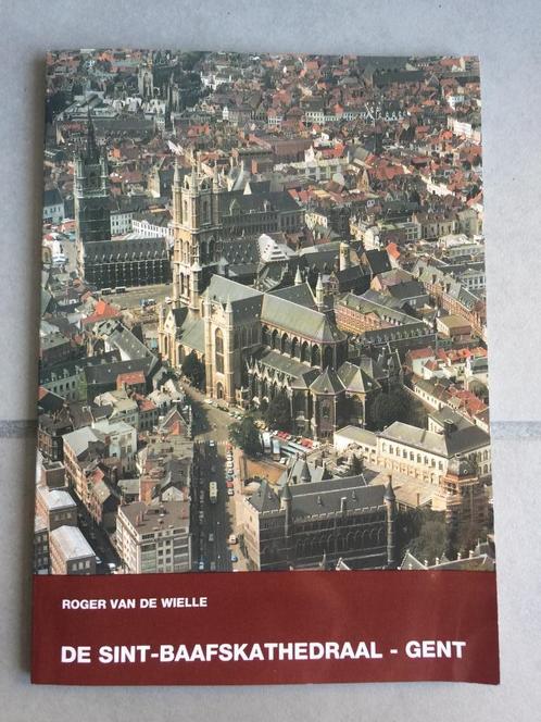 Sint-Baafskathedraal Gent, Boeken, Geschiedenis | Stad en Regio, Ophalen of Verzenden