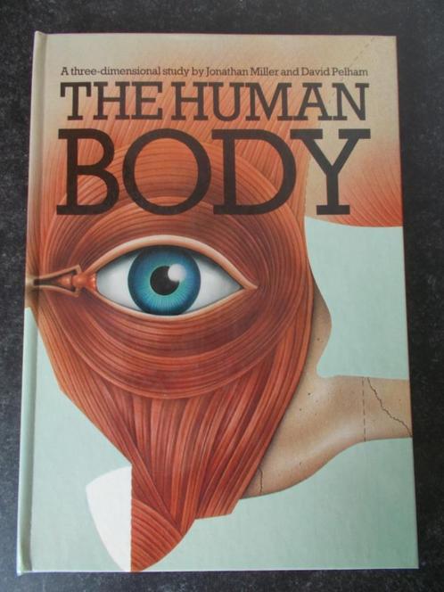 Pop-Up 3D boek van 1983 - Anatomie menselijk lichaam = 12€, Livres, Science, Comme neuf, Autres sciences, Enlèvement ou Envoi