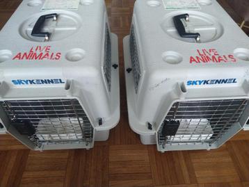 Petmate Sky Kennel 21" - Kattentransportbox - 2 stuks beschikbaar voor biedingen