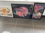 daiment painting, Ophalen, Nieuw, Knutselwerk
