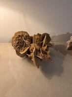 Grote woestijnroos roset, Ophalen of Verzenden, Mineraal