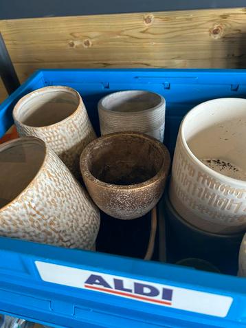 Prachtige grote/kleine bloempotten voor binnen en buiten beschikbaar voor biedingen