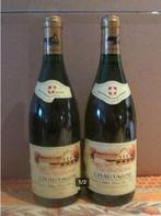 2x de Vin de Savoie - Chautagne blanc - Ruffieux - 1994, Collections, Vins, Enlèvement ou Envoi, Comme neuf, France, Vin blanc