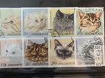 HONGARIJE KATTEN 2387/2394, Postzegels en Munten, Postzegels | Europa | Hongarije, Verzenden, Gestempeld