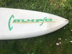 Windsurfplanken, Complete set, 5 tot 7 m², Met vin(nen), Gebruikt