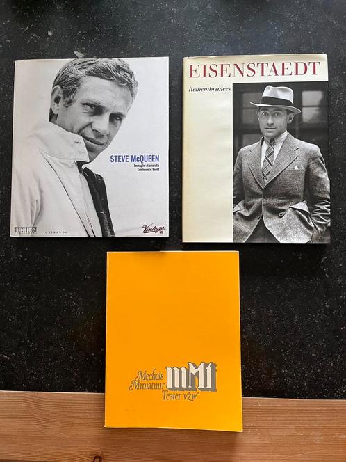 Naslagwerk Steve McQueen, Eisenstaedt, MMT Mechelen, Boeken, Film, Tv en Media, Zo goed als nieuw, Ophalen of Verzenden