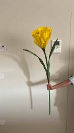 Xl bloem narcis, Ophalen, Zo goed als nieuw