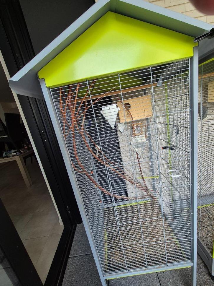 Mooie grote vogelkooi, Dieren en Toebehoren, Vogels | Hokken en Kooien, Zo goed als nieuw, Vogelkooi, Overige materialen, Ophalen