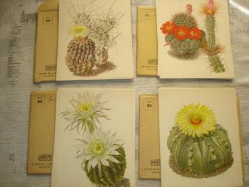 Artis Historia Cactussen reeksen 49,50,51,52 (60 prenten) beschikbaar voor biedingen