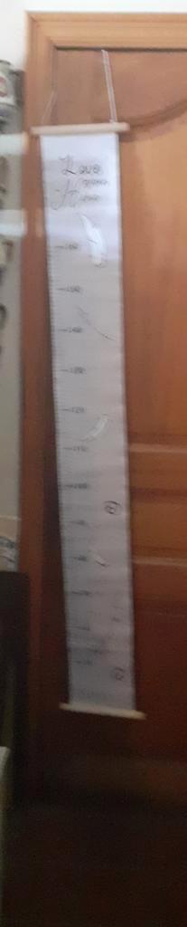 Toise à suspendre pour chambre d'enfants, Enfants & Bébés, Chambre d'enfant | Aménagement & Décoration, Utilisé, Enlèvement ou Envoi