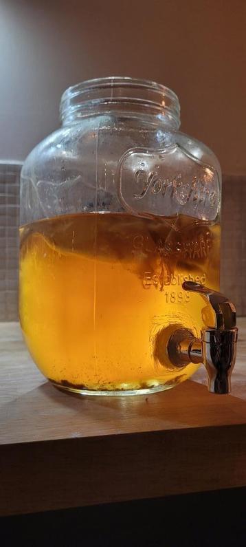 Scoby Kombucha starter, Enlèvement