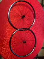 Icon T2.5 Disc - DT Swiss 350  Cyclocross Tubular wielset, Ophalen, Nieuw, Overige typen