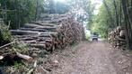GRUMES DE FRÊNES, Tuin en Terras, Brandhout, 6 m³ of meer, Ophalen, Essenhout, Stammen