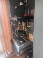 Een grote kooi voor papegaaien en parkieten te koop, Dieren en Toebehoren, Ophalen, Gebruikt, Metaal, Volière