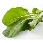 10 zaden eeuwigdurende spinazie (groene snijbiet), Tuin en Terras, Bloembollen en Zaden, Verzenden, Voorjaar, Zaad
