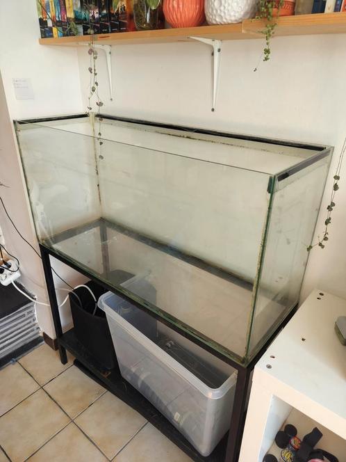 Aquarium 180L met toebehoren t.w.v. €350, Animaux & Accessoires, Poissons | Aquariums & Accessoires, Utilisé, Aquarium vide, Enlèvement ou Envoi