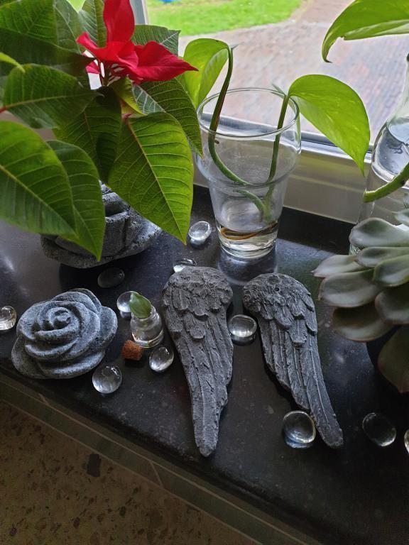 set vleugels , engel, Huis en Inrichting, Woonaccessoires | Overige, Nieuw, Ophalen of Verzenden