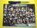 wielerkaart 2020 team bora  peter sagan, Comme neuf, Envoi