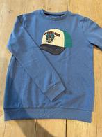 sweater maat 164, Kinderen en Baby's, Ophalen of Verzenden, Zo goed als nieuw, Jongen