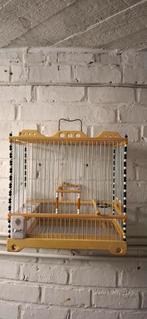 Cage chardonneret, Animaux & Accessoires, Enlèvement