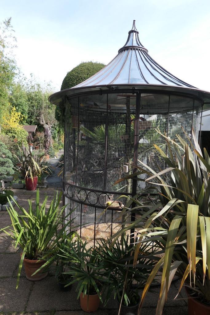 Vogelvolières tuinkassen oranjerieën tuinhuizen, Dieren en Toebehoren, Vogels | Hokken en Kooien, Nieuw, Volière, Metaal, Ophalen of Verzenden