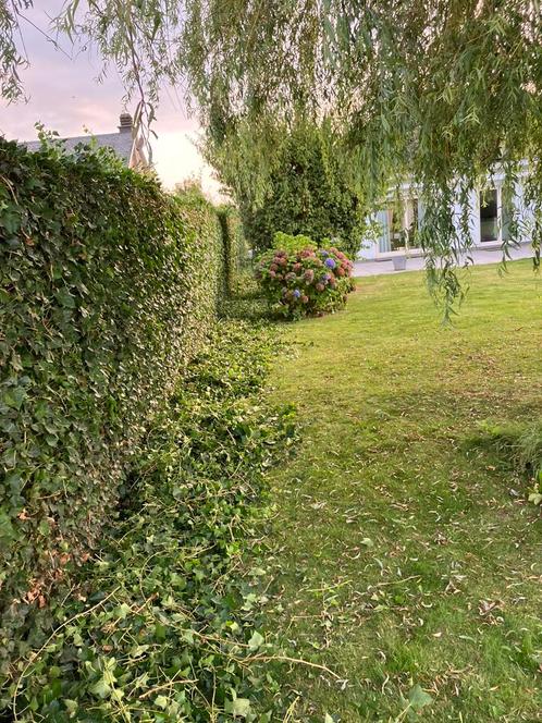 Tuinhulp- aanleg aangeboden, Tuin en Terras, Planten | Struiken en Hagen, Ophalen