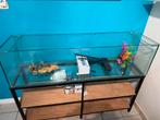 Groot aquarium met kast en toebehoren, Dieren en Toebehoren, Vissen | Aquaria en Toebehoren, Ophalen, Zo goed als nieuw, Filter of Co2