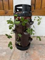 Aardbei / zomergoed torens, Ophalen of Verzenden, Zo goed als nieuw, Kunststof, Tuin