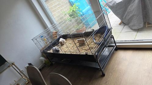 Groot konijnenkot, Dieren en Toebehoren, Knaagdieren en Konijnen | Hokken en Kooien, Zo goed als nieuw, Kooi, 60 tot 90 cm, 110 cm of meer