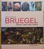 Bruegel, ziener van alle tijden, 2007 Davidsfonds, Ophalen of Verzenden, Zo goed als nieuw, Harold van de Perre, Schilder- en Tekenkunst