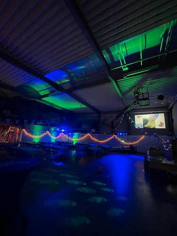 Feestverlichting TE HUUR  beschikbaar voor biedingen