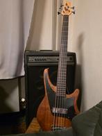 Basgitaar Status Graphite Shark 5., Musique & Instruments, Instruments à corde | Guitares | Basses, Enlèvement