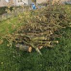 Brandhout, Ophalen