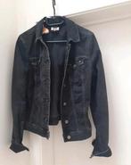 TOMMY HILFIGER JEANSJASJE MAAT S= 36/38, Kleding | Dames, Ophalen of Verzenden, Zo goed als nieuw, Maat 36 (S)