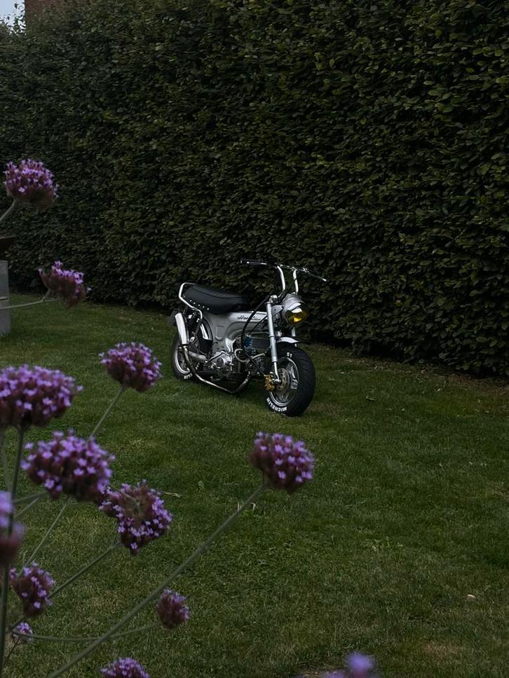 Dax B-klassse 72cc, Fietsen en Brommers, Brommers | Honda, Zo goed als nieuw, Ophalen