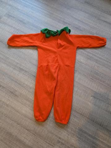 Pompoenpak beschikbaar voor biedingen