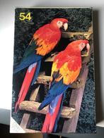Puzzel: Papegaaien, Gebruikt, Meer dan 50 stukjes, Ophalen of Verzenden